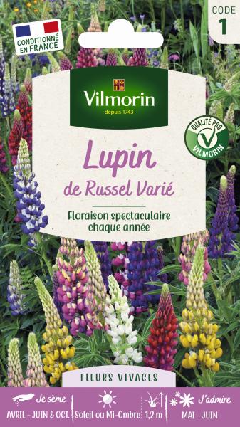 Fleurs - Lupin de Russel Varié - PACKAGING_RECTO